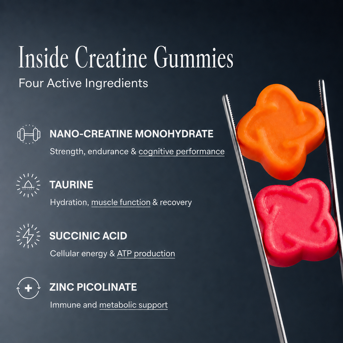 Arq8™ Creatine + Magnesium Gummies