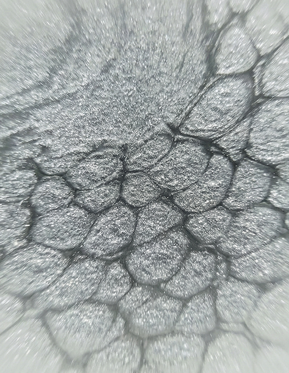 Close-up crystalline texture representing nano-creatine