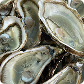 Zinc Picolinate