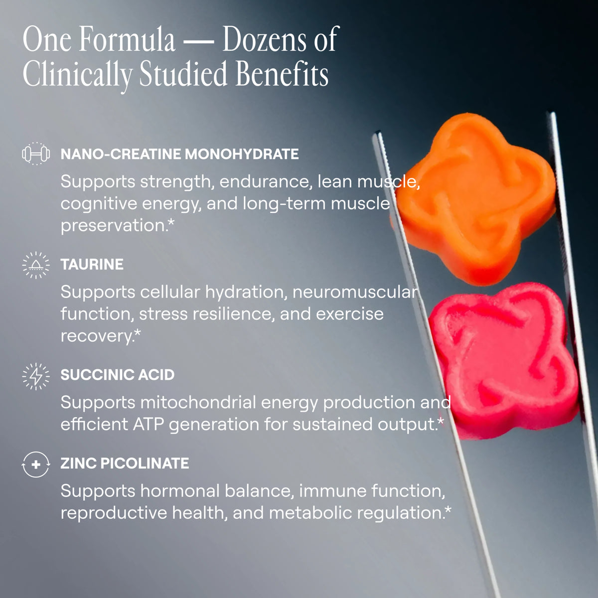 Creatine Ar Arq8™ Creatine Monohydrate Gummies – Arq8